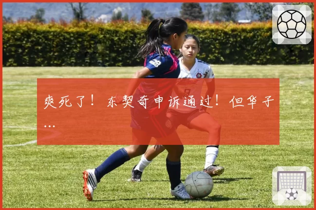 爽死了！东契奇申诉通过！但华子…